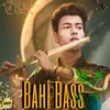 About Bahi Bass Song